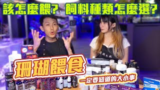 【藍箱水族】珊瑚餵食篇！一次告訴你，如何選擇珊瑚的食物？藍箱小學堂