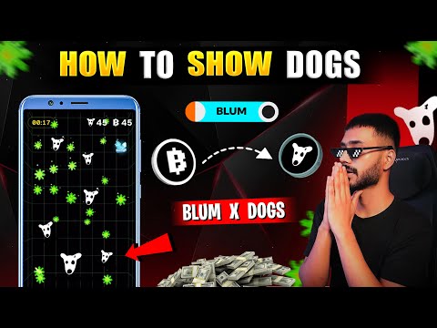 HOW TO SHOW DOGS TOKENS || BLUM X DOGS || BIGGEST AIRDROP WITHDRAWAL || BLUM $1 PRICE || NO GAS FEE