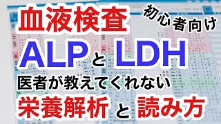 【血液検査】ALPとLDHの栄養解析と読み方！分子栄養学による解析法(初心者向け)【栄養チャンネル信長】