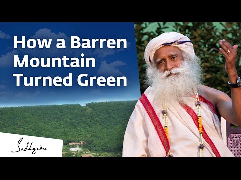 How Sadhguru Inspired Volunteers to Turn a Barren Mountain Green