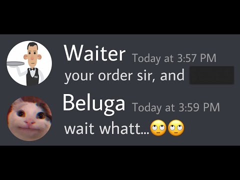 When Beluga is alone at the Restaurant | hecker