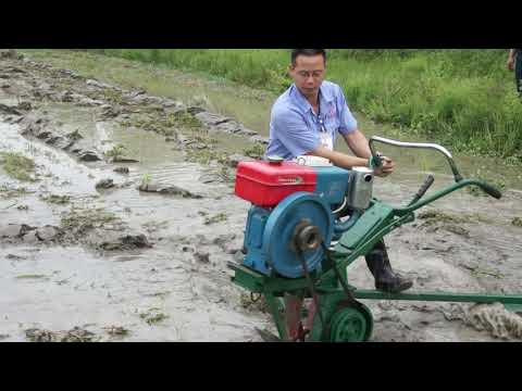 practical Mini Paddy Management machinery/Paddy Field Rice Weeder