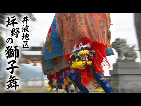 公式 井波地区【坪野の獅子舞】令和4年