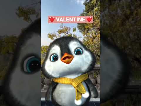 Be my valentine #penguin #animallover