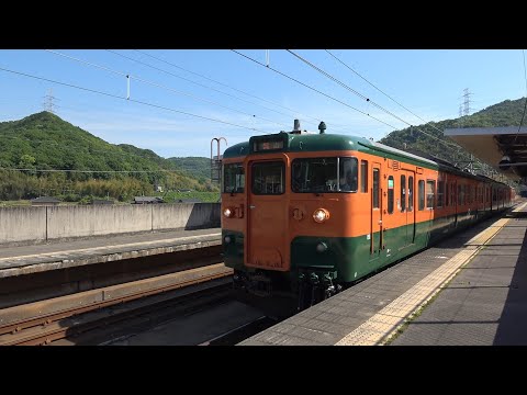 湘南色115系普通列車 瀬戸大橋線木見駅発車