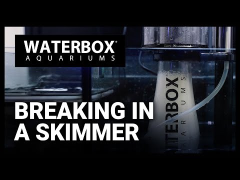 Breaking In Your New Waterbox Protein Skimmer