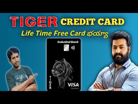 How to apply for indusind bank tiger credit card in online full details| #indusindbank #tiger