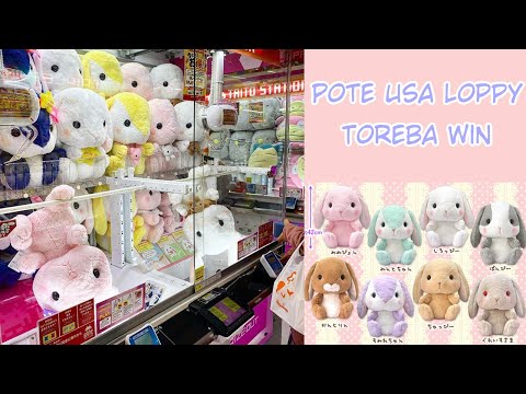 Giant Pote Usa Loppy Toreba Win (Purple/F)