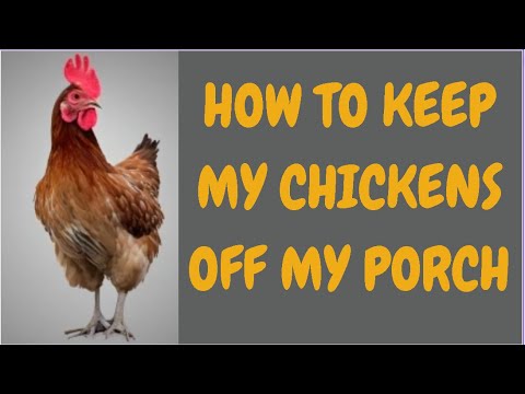 How To Keep My Chickens Off My Porch