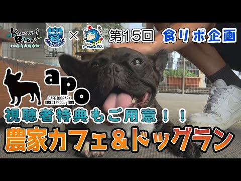 FC徳島応援番組 KAWASEMI BLUE!【第１５回】