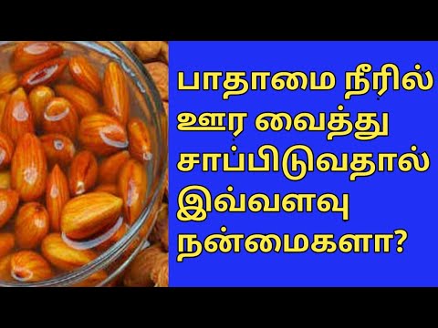 தினமும் ஊறவைத்த பாதாம் சாப்பிடுவதால் ஏற்படும் நன்மைகள்||badham benefits in tamil