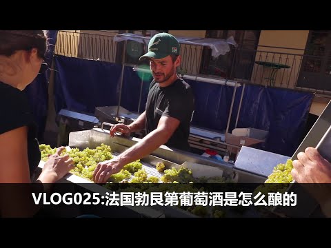 法国勃艮第的酒是怎么做的 Making Wine in Burgundy