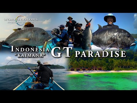 GT Paradise Kaimana, Indonesia - World Colors