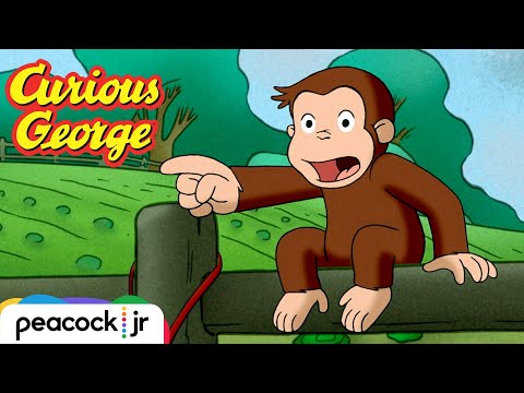 What Are THOSE!? 🐑 | CURIOUS GEORGE