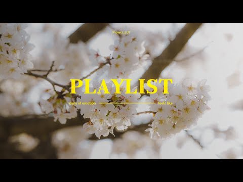 LUT playist 。옥상달빛 - 어른이 될 시간