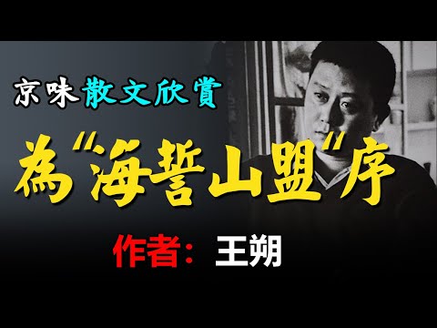 💥王朔的散文欣賞：1、棉棉的「糖」和丁天的「玩偶青春」，2、王海鸰和「大校的女兒」，3、為海巖新作「海誓山盟」序 #散文 #散文朗讀  #讀書 #聽書 #小說 #有聲書 #文學經典