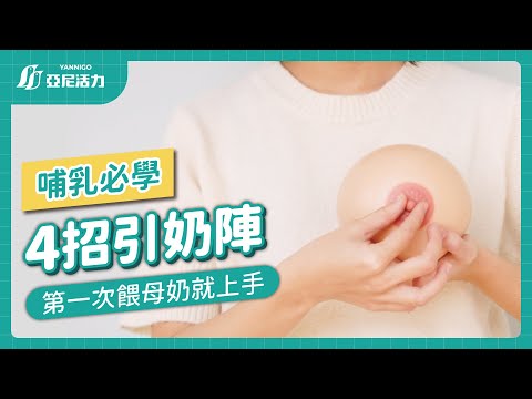 引奶陣DIY教學，哺乳新手必學技巧