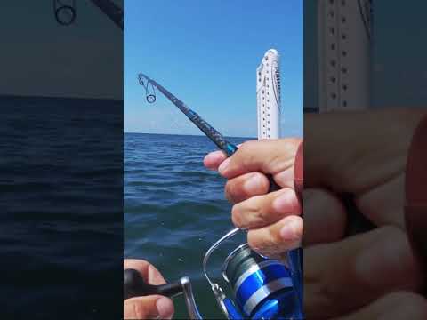 How to Catch Spanish Mackerel