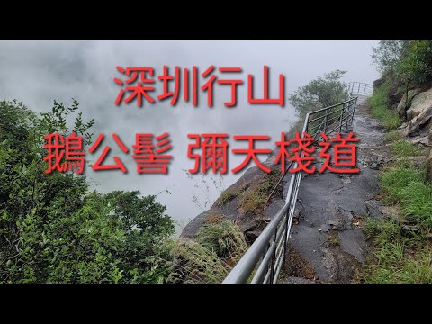 深圳：小三洲 鵝公髻 彌天棧道 大禾山 山子下山徑 大康社區