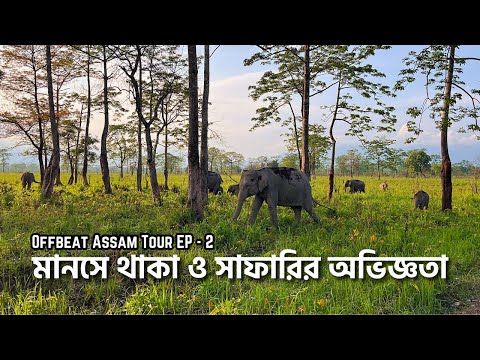 মানস জঙ্গলে সাফারির অভিজ্ঞতা | Safari Details | Manas Orchid Homestay | Offbeat Assam Tour | EP - 2