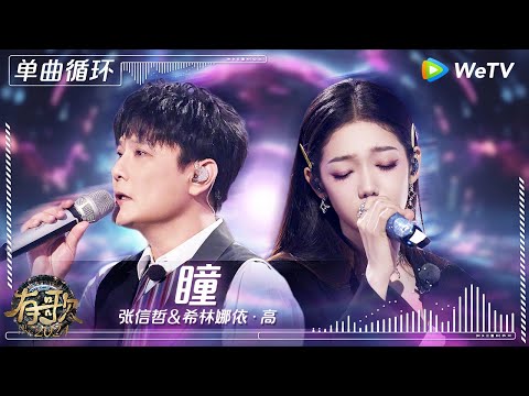 【1小时单曲循环】张信哲&希林娜依·高《瞳》| #有歌2024 EP6 #hitsong2024 | WeTV综艺音乐