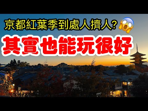 【日本旅遊】紅葉季的京都推薦可以這樣玩・2023年秋天日本京都賞楓自由行・毘沙門堂・錦市場・豬一拉麵米其林・京都景點・楓葉・楓紅・京都現狀・京都・京都旅遊・日本自由行