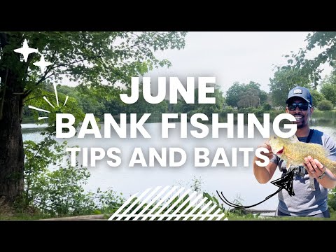 How to Catch Bass in June: Beginner Bank Fishing Tips and Baits