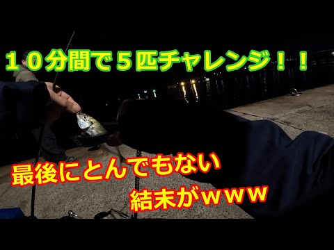 【アジング】１０分間で５匹チャレンジ！果たして結果は！？最後にとんでもない結末が・・・ｗ