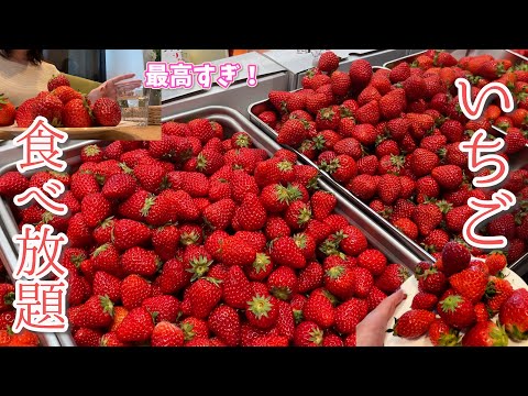 strawberries! All you can eat in Tokyo, Japan!