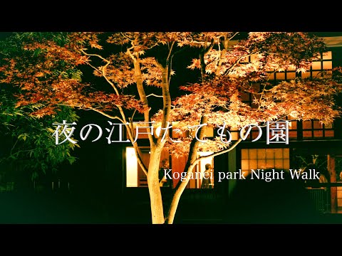 【夜の江戸たてもの園】Koganei park night walk