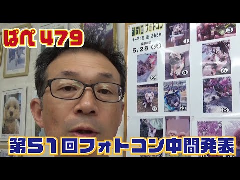 第51回フォトコンテスト中間発表～ぱぺ479