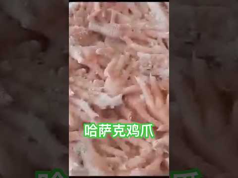 哈萨克鸡爪