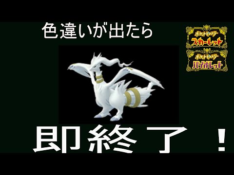 色違いレシラムが出たら即終了！【ポケットモンスター スカーレット・バイオレット】