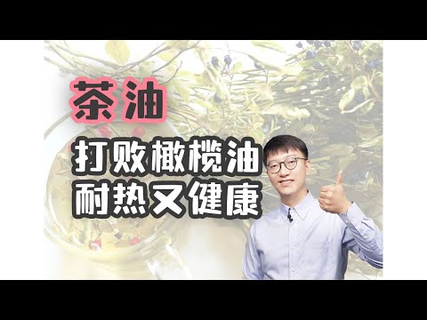 茶油的營養比橄欖油好？如何挑選和使用？ ｜營養學堂 #營養 #food #饮食 #健康食品