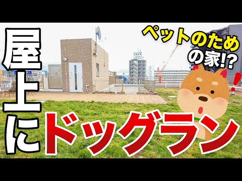 【好立地】ドッグラン＆グルーミングルーム付き！？動物好きのための家が好立地でペットと住みたすぎる！！！