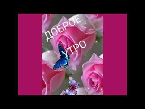 Доброе утро🌺🌺🌺 прекрасного настроения 🌺🌺🌺