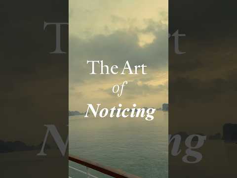 The Art of Noticing #shortfilm #travelshorts