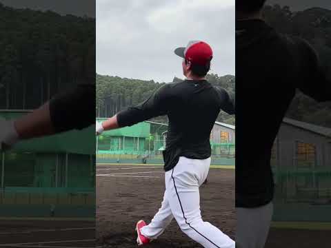 秋季キャンプ　中村貴浩選手 #カープ