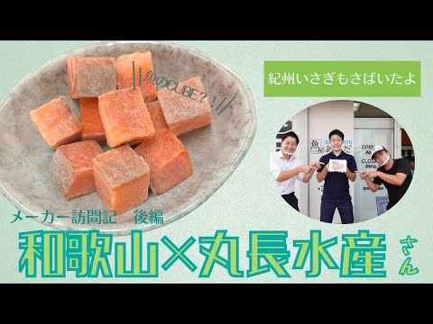 【天神崎】和歌山の映えスポットで新鮮なお刺身を食べる！【飯テロ】