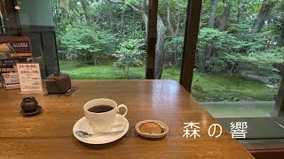 【カフェ巡り】森の響 　支留比亜珈琲 神の倉店