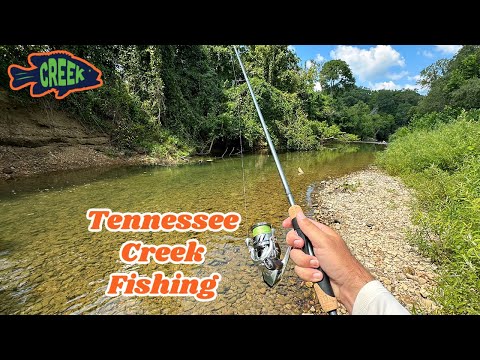 Creek Fishing for Smallmouth Bass...