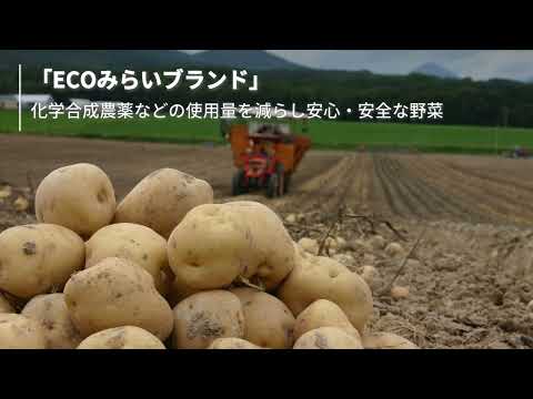 オークワマルシェ　JAきたみらい　ECOみらいたまねぎ・ECOじゃがいも