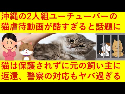 【悲報】猫の虐待動画をアップしたユーチューバーが通報されまくり炎上へ！猫は警察に引き渡されるも保護されず、なんと虐待した飼い主の元に返されてしまう！弁護士も警察の対応はおかしいとさらに炎上へ！！