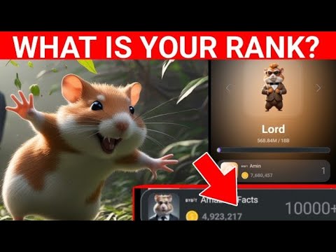 Hamster Kombat ranking update - What is your rank on hamster Kombat?