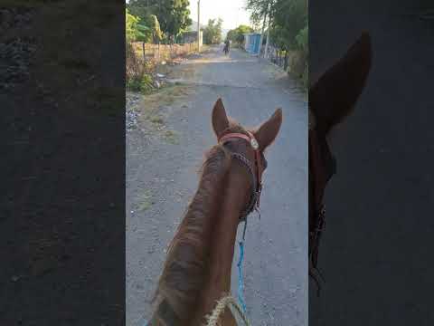 Apuesta de sol llegando al #rancho en #caballos en #mexico #rancheritostyl