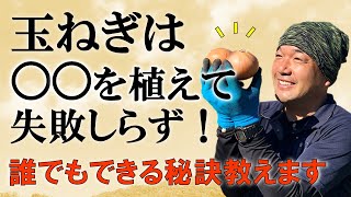 【目から鱗】玉ねぎは〇〇を植えて失敗しらず！！誰でもできる栽培方法教えます。【自然農法】