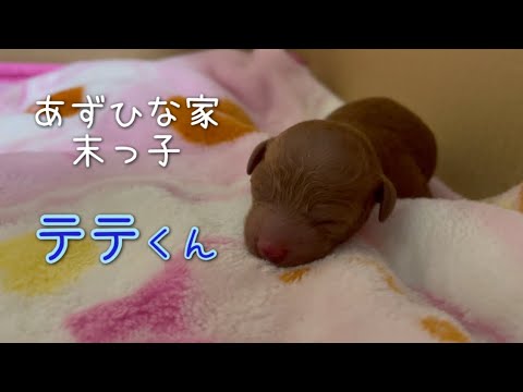 2歳になりました♡生まれたてから2歳までの成長記録📔