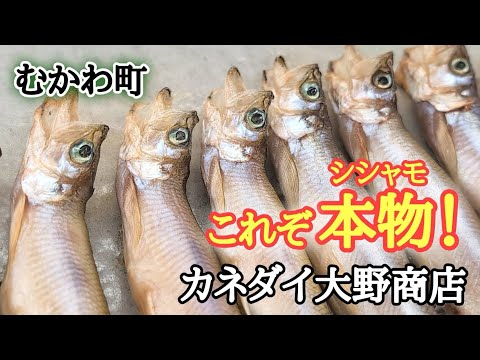 【むかわ町】今年も休漁😱だけど道産のシシャモが食べれる！？スーパーのシシャモと比較🧐