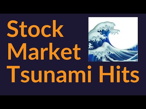 Stock Market Tsunami Hits