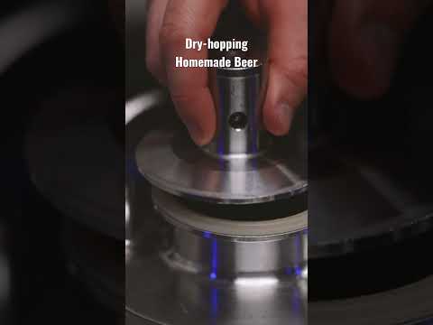 How to dry-hop homemade beer #homebrewing #dryhop #ryanmichaelcarter